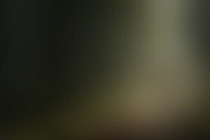 Фотография ролевого квеста Приют для убийцы от компании Questoria (Фото 1)