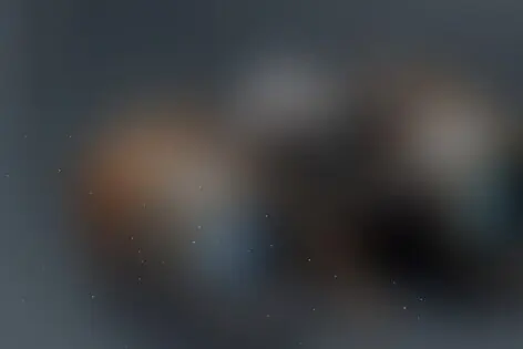 Квест «ДоброКвест» от ДоброКвест