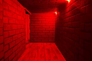 Фотография квеста Темница от компании Dark Games (Фото 2)
